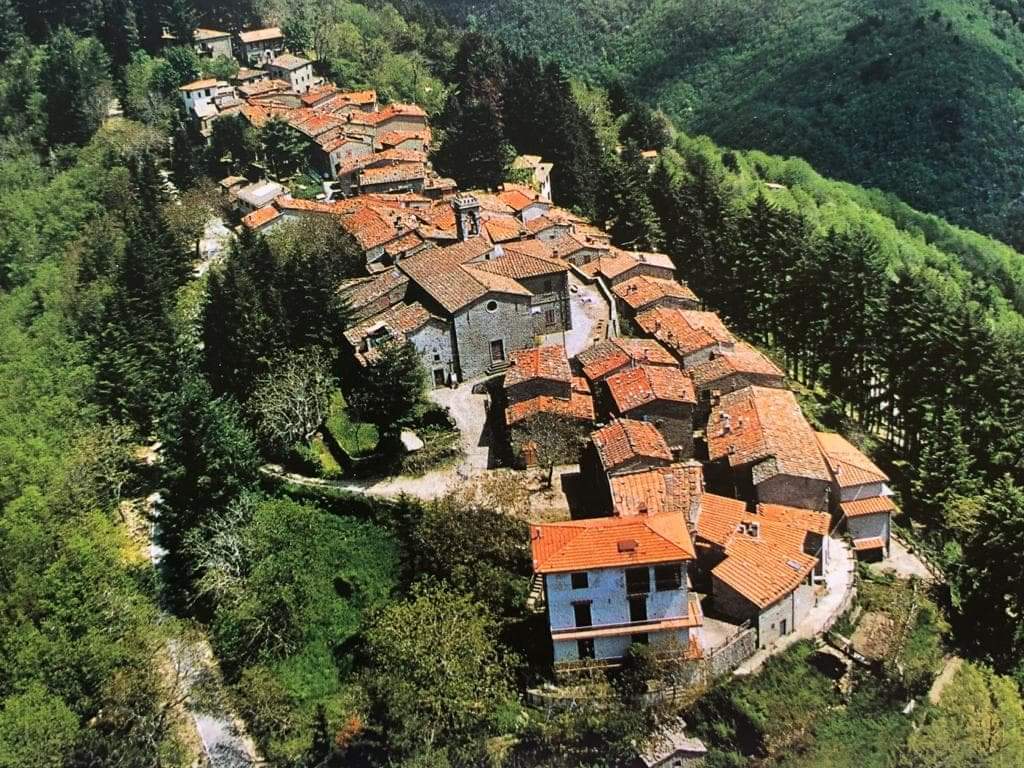 La Trappola Un Concorso D idee Per Rilanciare Il Borgo ValdarnoPost 
